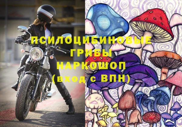 кокс Аркадак