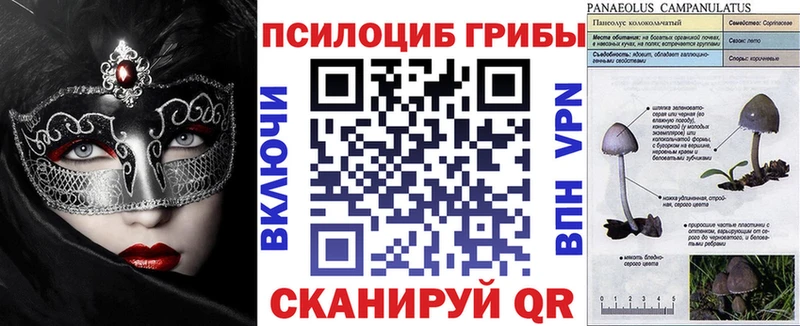 Псилоцибиновые грибы Cubensis  Сергач 